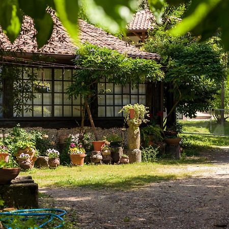Chale Da Quinta "Lavoura Da Bouca - Fruta Bio" Guest House Celorico De Basto Eksteriør bilde