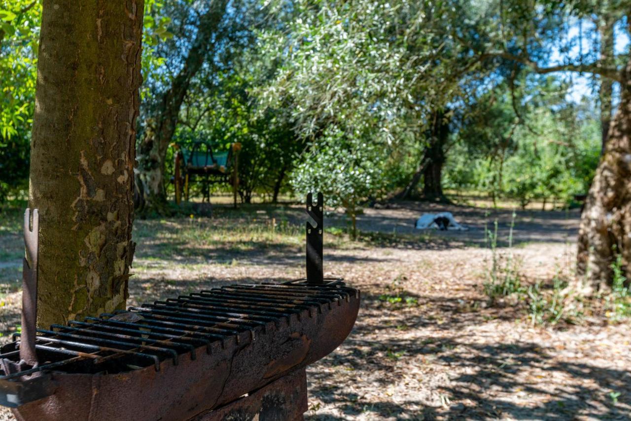 Chale Da Quinta "Lavoura Da Bouca - Fruta Bio" Guest House Celorico De Basto Eksteriør bilde