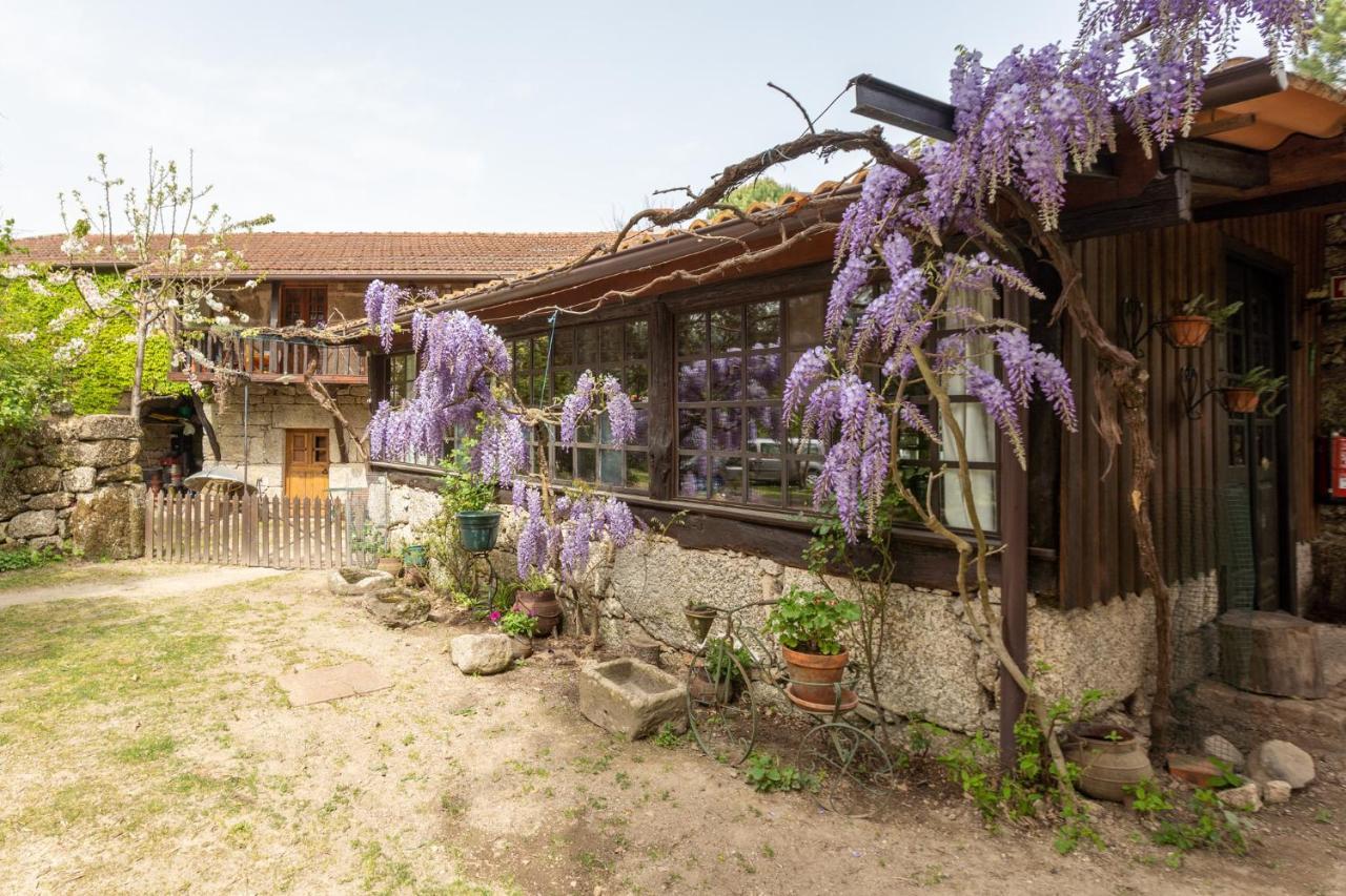 Chale Da Quinta "Lavoura Da Bouca - Fruta Bio" Guest House Celorico De Basto Eksteriør bilde