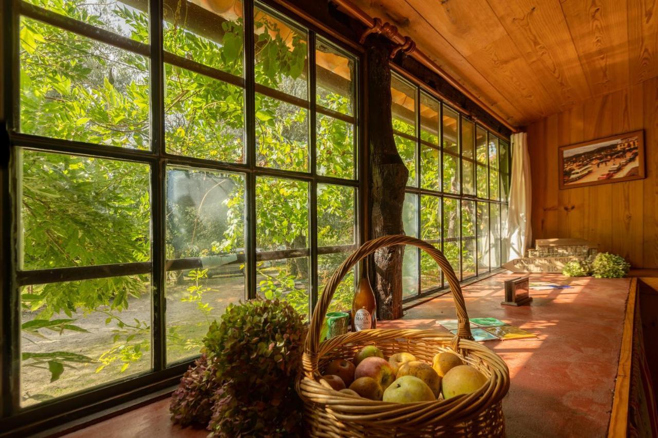Chale Da Quinta "Lavoura Da Bouca - Fruta Bio" Guest House Celorico De Basto Eksteriør bilde