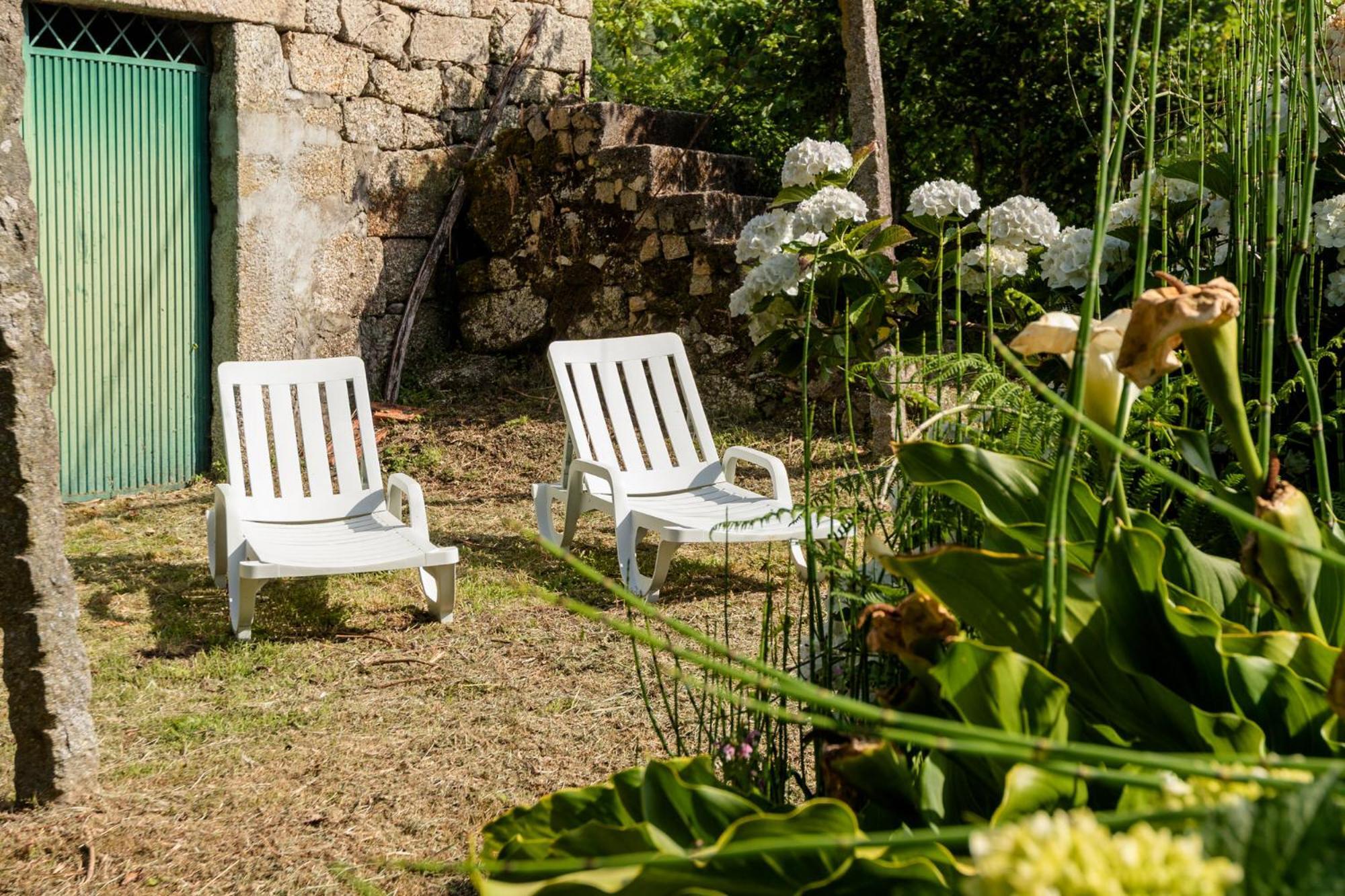 Chale Da Quinta "Lavoura Da Bouca - Fruta Bio" Guest House Celorico De Basto Eksteriør bilde