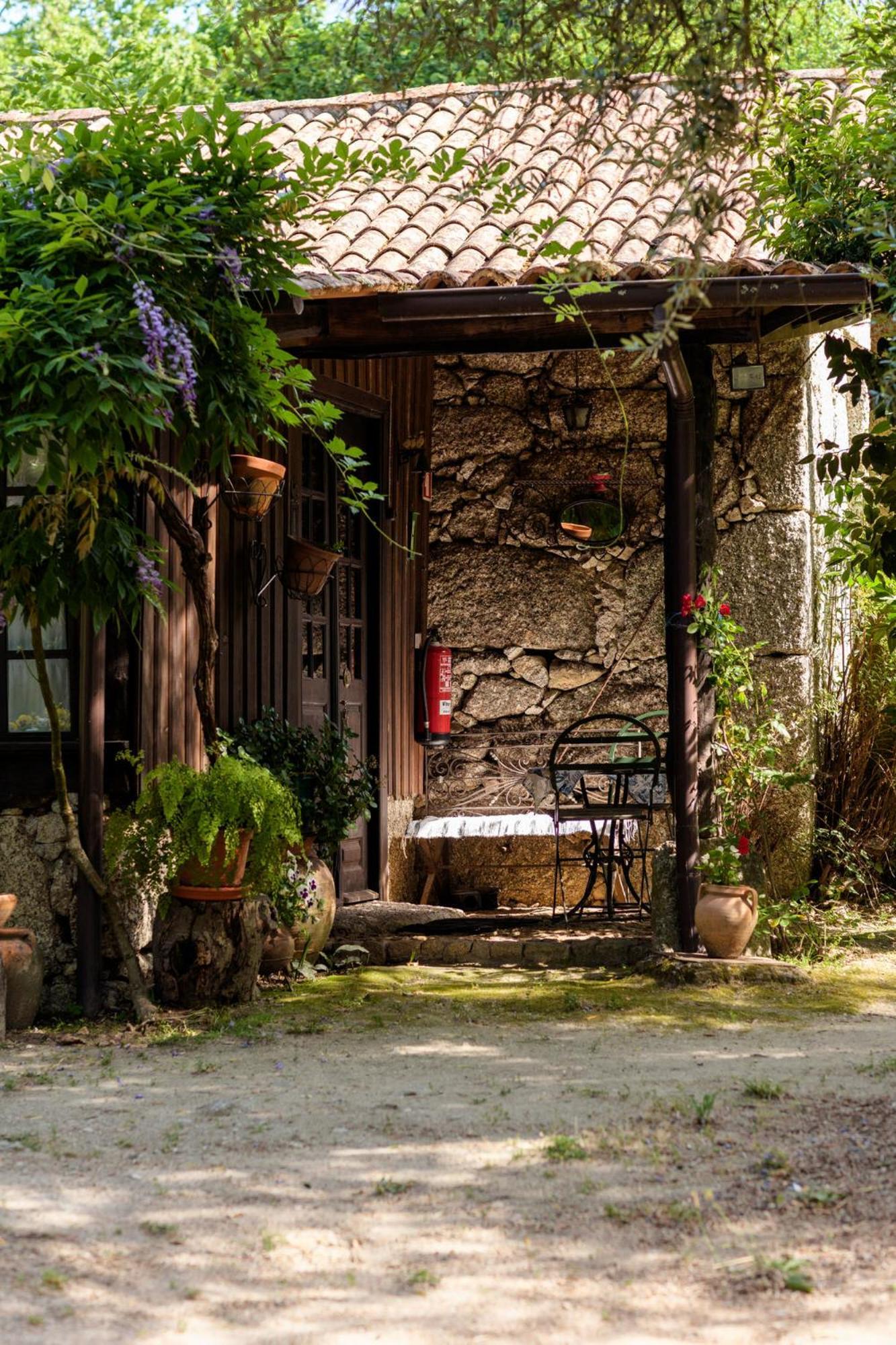 Chale Da Quinta "Lavoura Da Bouca - Fruta Bio" Guest House Celorico De Basto Eksteriør bilde