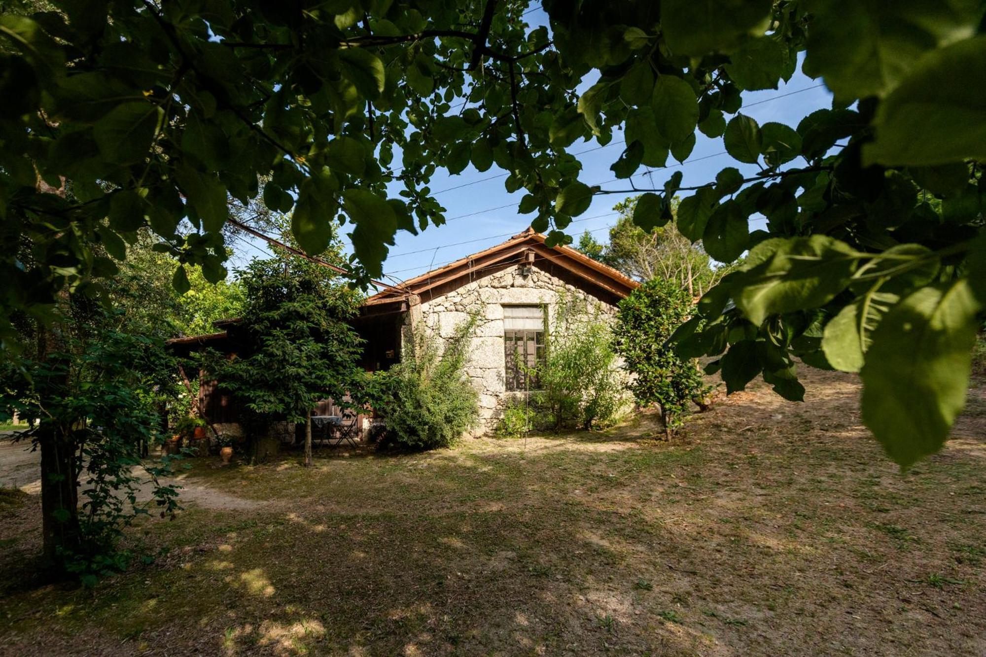Chale Da Quinta "Lavoura Da Bouca - Fruta Bio" Guest House Celorico De Basto Eksteriør bilde