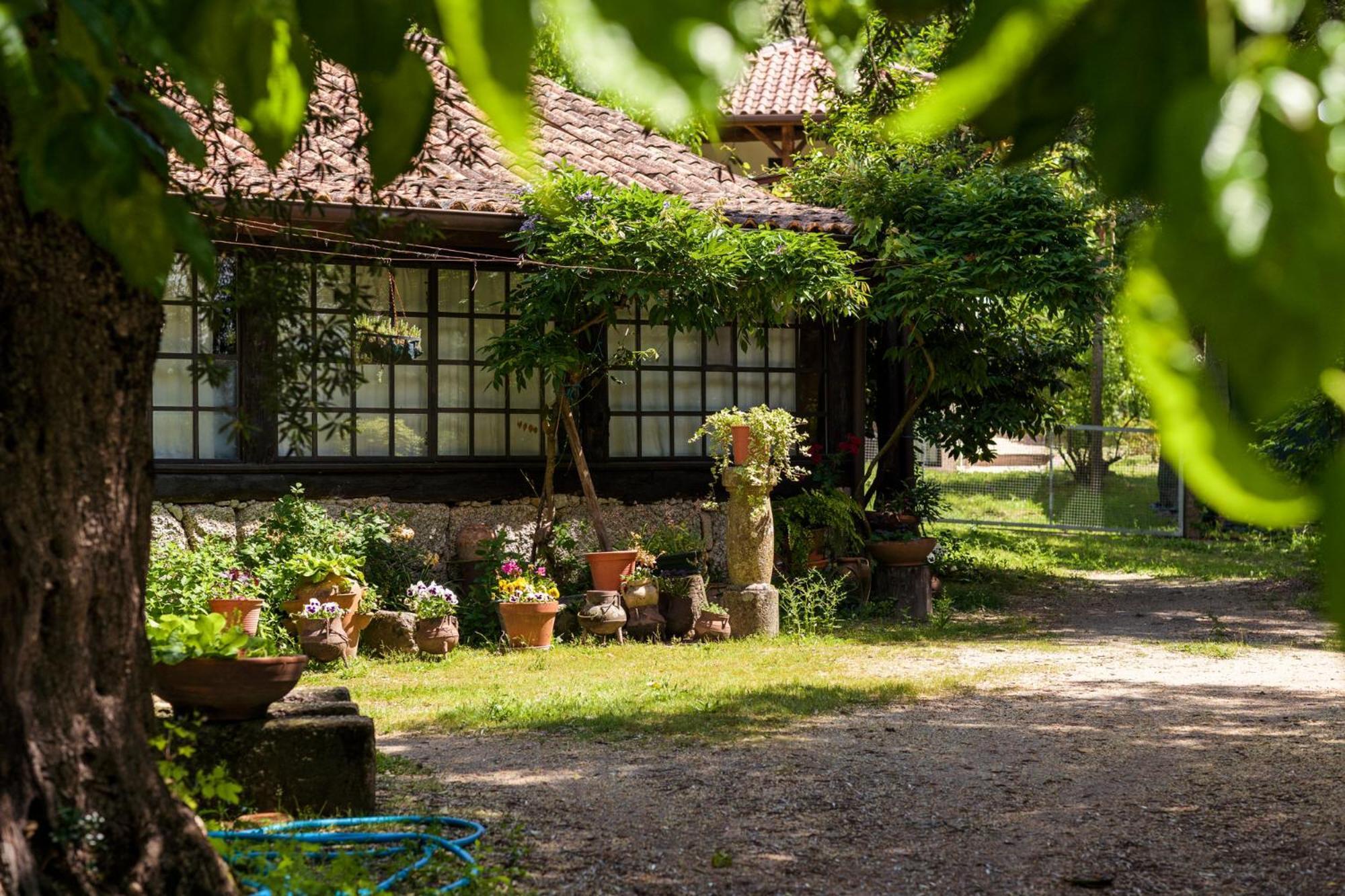 Chale Da Quinta "Lavoura Da Bouca - Fruta Bio" Guest House Celorico De Basto Eksteriør bilde