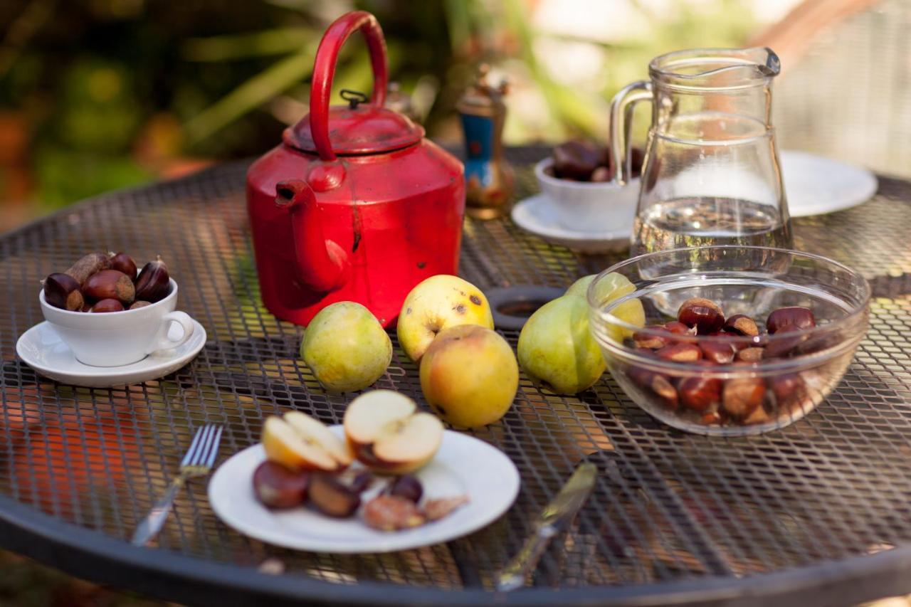 Chale Da Quinta "Lavoura Da Bouca - Fruta Bio" Guest House Celorico De Basto Rom bilde